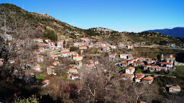 DSC07980MagulianaApopsia